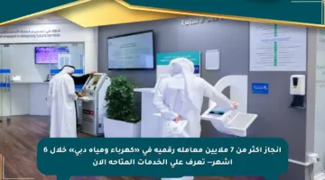 إنجاز أكثر من 7 ملايين معاملة رقمية في «كهرباء ومياه دبي» خلال 6 أشهر— تعرف على الخدمات المتاحة الآن